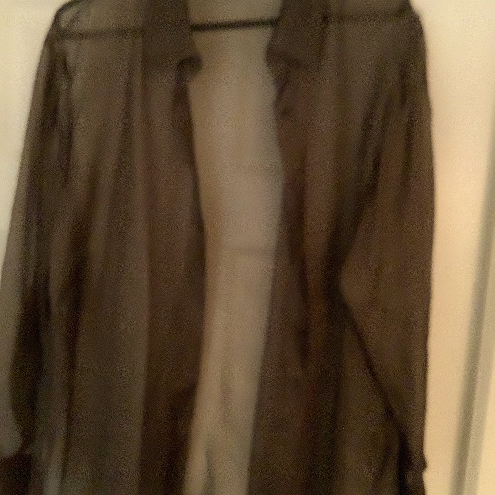 Emanuel Ungaro  Bronze Sheer Overblouse. Sz 18